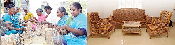 வாழ வைக்கும் வாழை நார்...