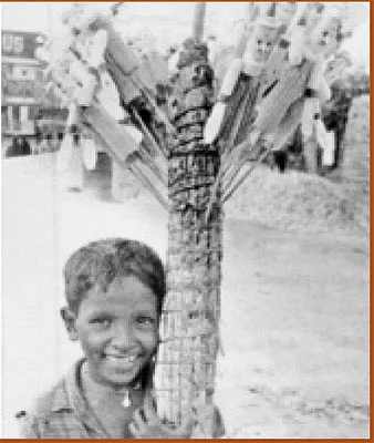 நசுங்கிப் போனவை...