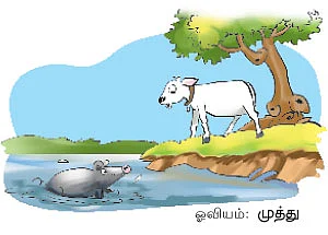 கலகல கடைசிப் பக்கம்