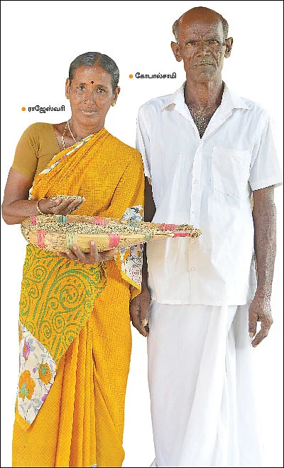 ஒரு ஏக்கர்... 120 நாள்கள்... ரூ.37,000 - நல்ல விளைச்சல் தரும் நாட்டுக் கம்பு!