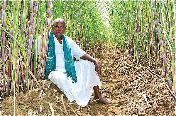 “ரசாயன விவசாயத்தில் ஜெயித்தவர்களைக் காட்டினால் 2 லட்சம் ரூபாய் பரிசு...” துணைவேந்தருக்குச் சவால்விடும் ‘புளியங்குடி’ அந்தோணிசாமி!