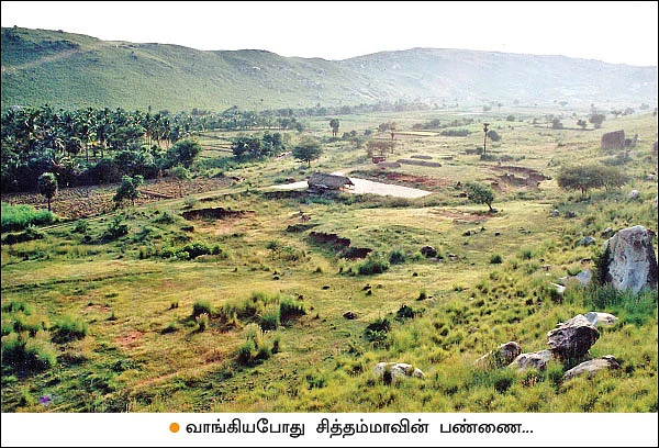 ஏக்கருக்கு ரூ. 99,000... நம்மாழ்வார் கற்றுக்கொடுத்த நல்ல சாகுபடி!