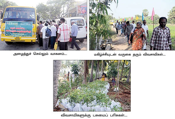 பென்ஷன் கொடுக்கும் மரங்கள்..!