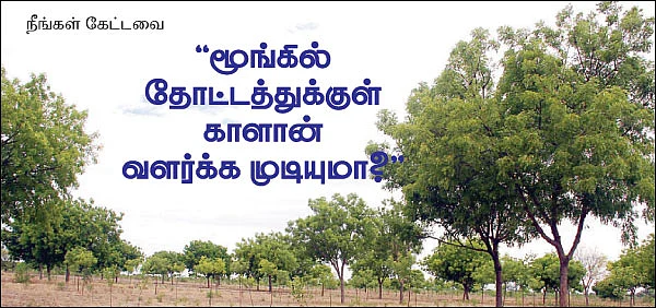 நீங்கள் கேட்டவை