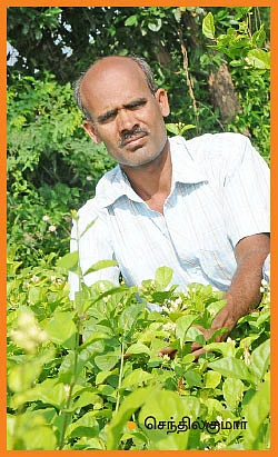 குறைந்த இடத்திலும் குதூகல வருமானம் தரும் மல்லி!