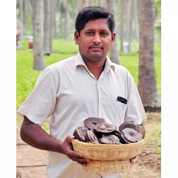 கொஞ்சம் ப்ளஸ்... நிறைய லாபம்! - தென்னை தரும் பொருள்கள்!