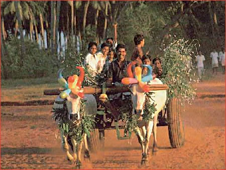 இல்லங்கள் நிறையும் இதயங்கள் பூரிக்கும்! - தை மாத சிறப்பு தொகுப்பு