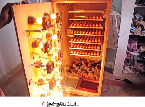 ஆரம்ப முதலீடு 550 ரூபாய்... ஆண்டு லாபம் 5 லட்ச ரூபாய்!