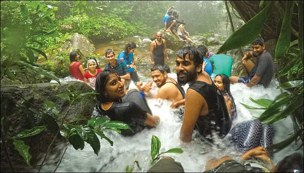 நீர்த்துளிகள்... ஈரத்திவலைகள்!