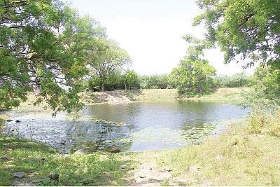 ஆலயம் தேடுவோம்