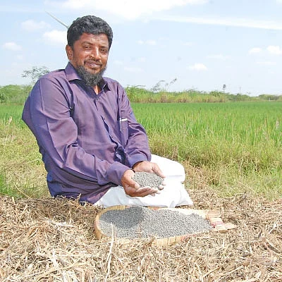 இயற்கை உளுந்து... இனிக்கும் லாபம்!
