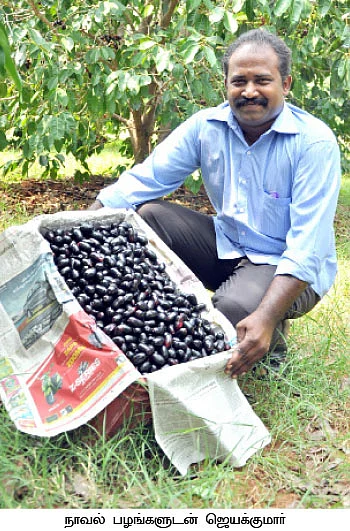 ஒரு ஏக்கர்... ஆண்டுக்கு 5 லட்சம்...