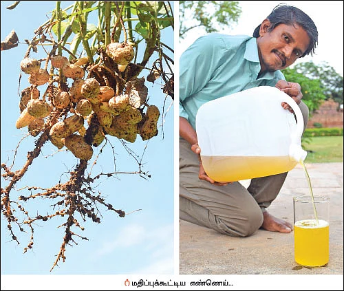 கலகல ‘காந்தி’ கடலை... மதிப்புக் கூட்டினால் கூடுதல் லாபம்!