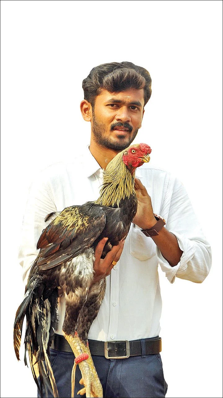 800 கோழிகள்... மாதம் ரூ. 50,000 லாபம்! - படித்துக்கொண்டே பண்ணை நடத்தும் இளைஞர்!