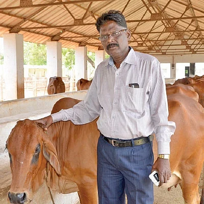 ஆலோசனை... பயிற்சி... தீவன விதைகள்... வளர்ப்புக் குட்டிகள்... - அசத்தும் அரசு கால்நடைப்பண்ணை!