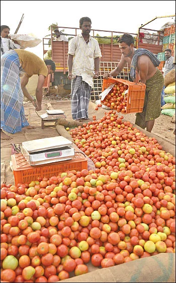 தக்காளி விலை வீழ்ச்சி... காரணம் என்ன?