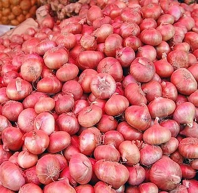 Onion