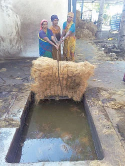 தேங்காய்நார் தொழில்... தெளிவான வழிகாட்டி!