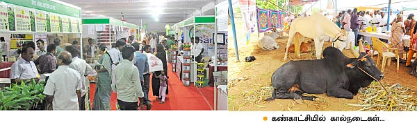 ‘இயற்கை விவசாயமே சிறந்தது!’