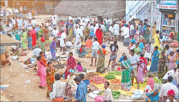 விளையும் விலையும்! - சந்தைக்கு வழிகாட்டும் தொடர் - 8