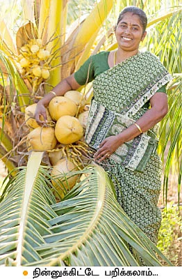 இது ஜீரோ பட்ஜெட் அசத்தல்....