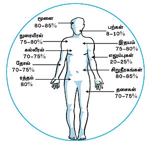 மாயா டீச்சரின் மந்திரக் கம்பளம் !