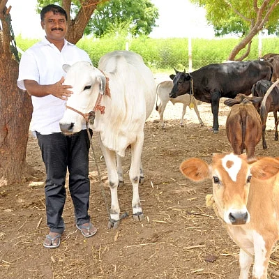 25 ஏக்கர்... மாதம் ரூ 11 லட்சம் லாபம்!
