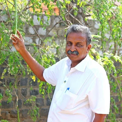 பஞ்சகவ்யா - 6