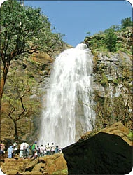மூங்கில் டிபன் பாக்ஸ்!