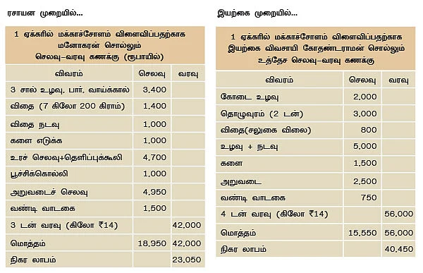 மாற்றுப் பயிராக மக்காச்சோளம்!