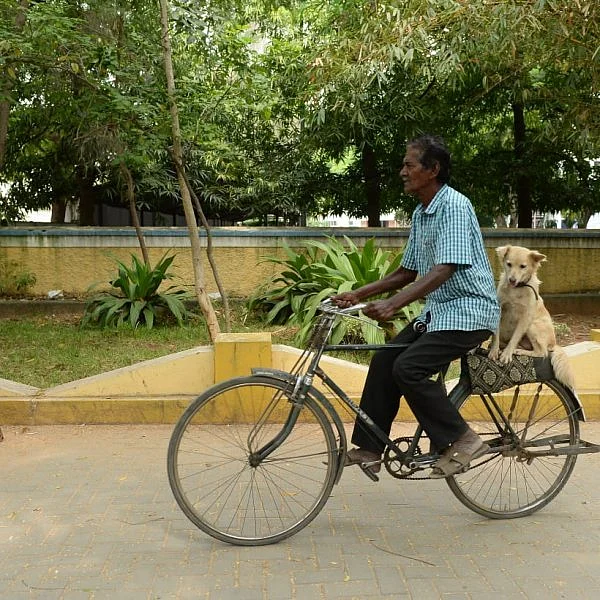 நாய்களுக்காக நைட் ஷிஃப்ட்... 71 வயது கோவை முதியவரின் கதை!