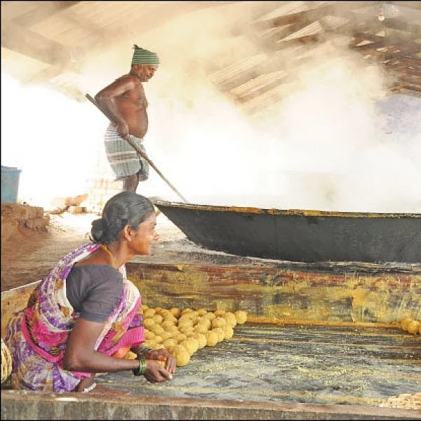 Agri Export for abundant income… Successful strategies! Part 7