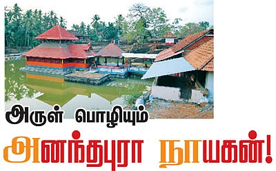 அருள் பொழியும் அனந்தபுரா நாயகன்!