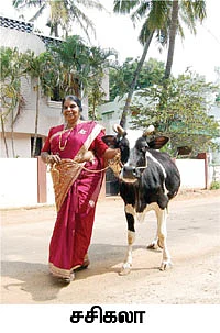 'கோமாதா'க்களைக் காக்கும் குலமாதா !
