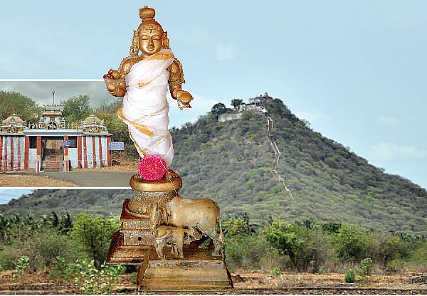 கோமாதாவைக் காக்கும் கோபிநாதா...!