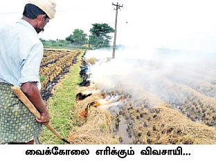 தொழுவுரத்துக்குப் பதிலாக... வைக்கோல் உரம் !