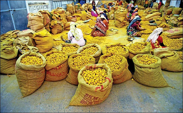 அள்ளித்தரும் அக்கரைச் சீமை... ஏற்றுமதிக்கு வழிசொல்லும் வெற்றி சூத்திரங்கள்! - 8