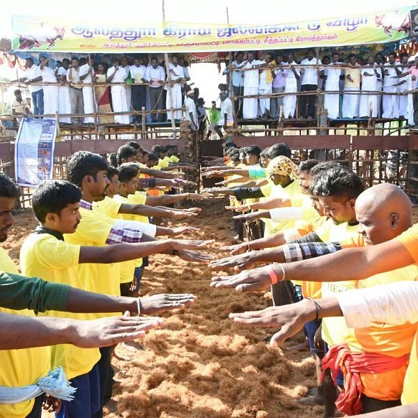 சீருடை அணியாமல் வந்த நபரைக் குறிவைத்த அமைச்சரின் `கொம்பன்'! - ஜல்லிக்கட்டுப் பரபரப்பு