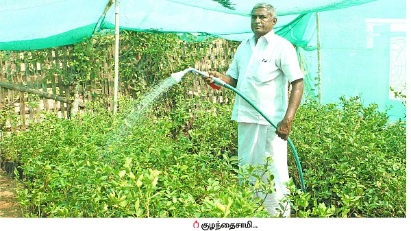 ஏற்றம் தரும் எலுமிச்சை!