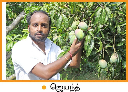 35 ஏக்கர்... ஆண்டுக்கு ரூ.18 லட்சம்...இணைய விற்பனையில் கலக்கும் இளம் விவசாயி!