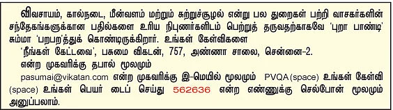 நீங்கள் கேட்டவை