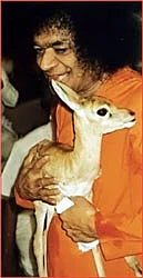 சத்தியம் நிகழ்த்திய அற்புதம்!