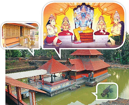 அருள் பொழியும் அனந்தபுரா நாயகன்!