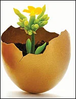 முதல்முறை முதலீடு... ஏற்ற ஃபண்ட் எது?