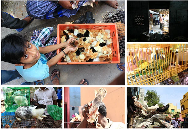 ஆதி சென்னையின் அடையாளங்களாக மிஞ்சியிருக்கும் சந்தைகள்!
