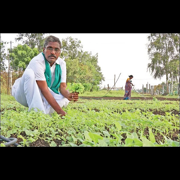 பத்து ஏக்கர் நிலத்தில் ஒரு பசுமைப் பண்ணை!