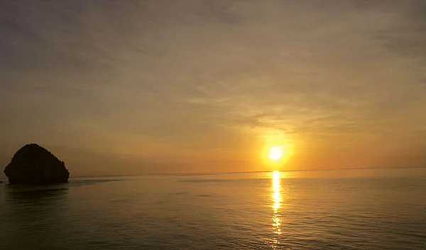 எந்த வருடம்... என்ன பலன்கள் ?