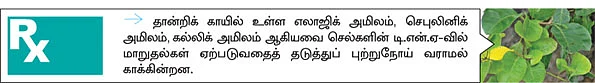 நோயின்றி வாழ உதவும் தான்றி!
