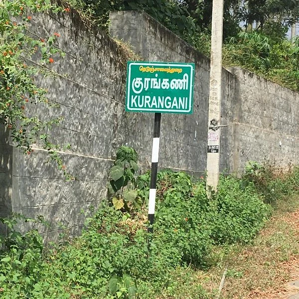 ஒரு வருடத்தைக் கடந்த குரங்கணி தீ விபத்து... என்ன சொல்கிறார்கள் மக்கள்?