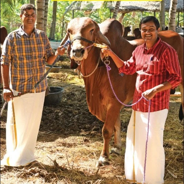50,000 litres of Milk Annually… Rs 50 Lakhs Income... Graduates’ Marvellous Milk Farm!